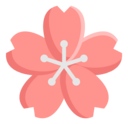 小樱知识网
