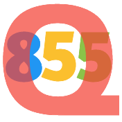 Q855网址导航